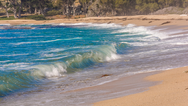 strong waves on shoreline of California's Monastery Beach