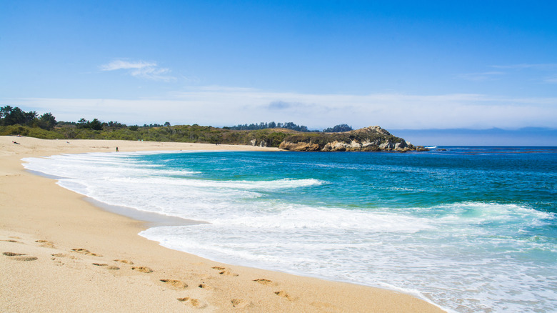 shoreline of Monastery Beach California with rocky cliffs in distance