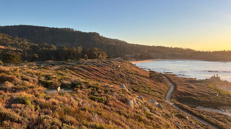 hills overlooking Monastery Beach in California