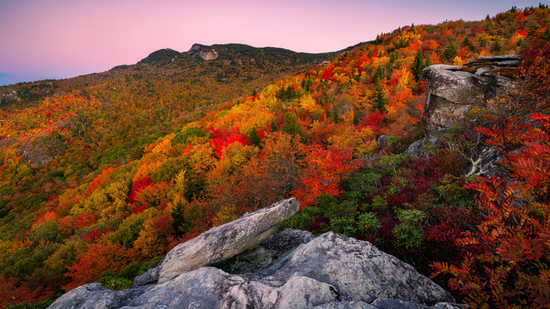 peak autumn foliage in the Blue Ridge Mountains in North Carolina