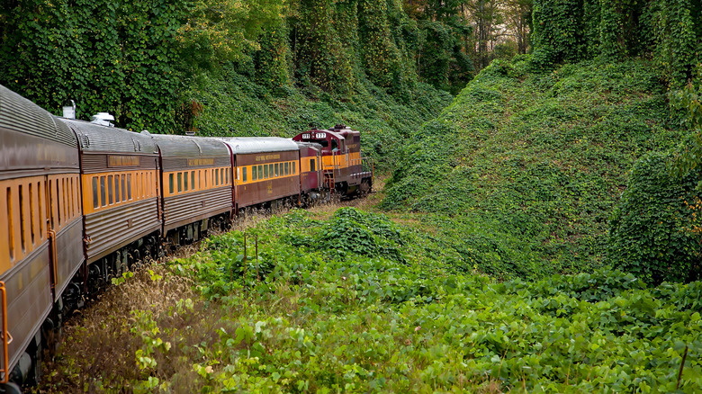 The Great Smoky Mountains Railroad