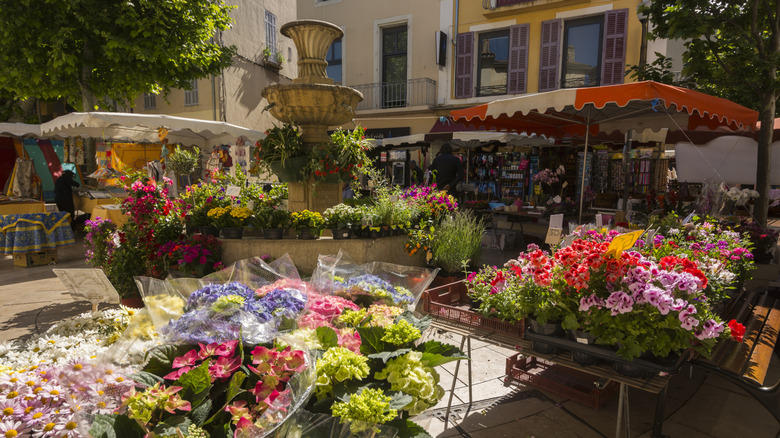 local flower market France