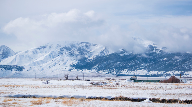 Snow covered mountains in Bridgeport, California