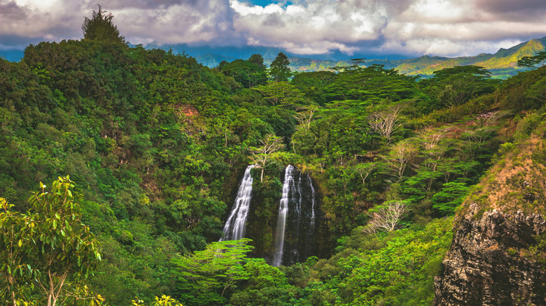 ʻŌpaeka'a Falls in Wailua River State Park, Kauai, Hawaii