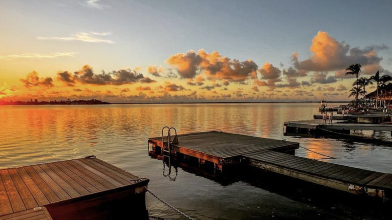 Docks over water at sunrise