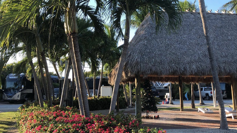 Trees and tiki hut, Bluewater Key