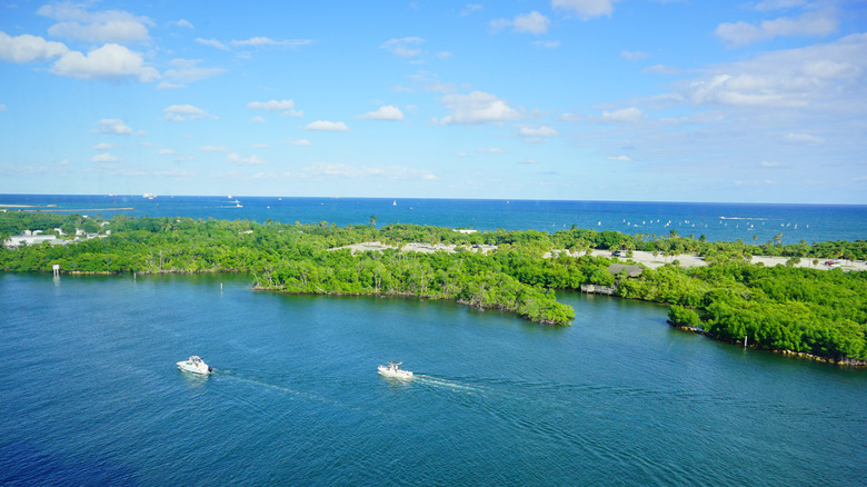 Mangroves cover lush barrier island