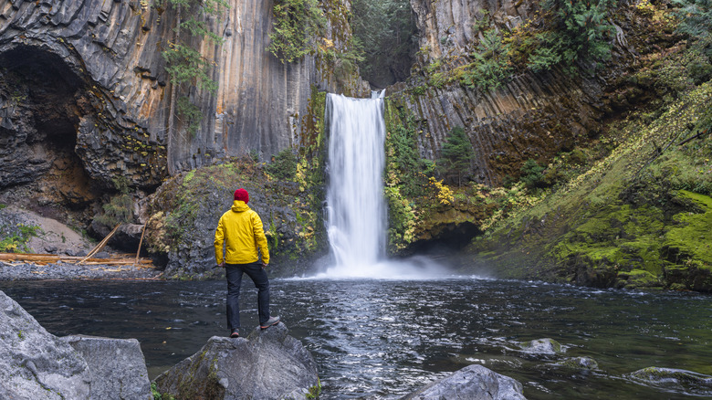 A man admires a waterfall in Umpqua National Forest