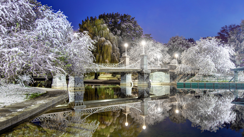 Boston Public Garden Winter