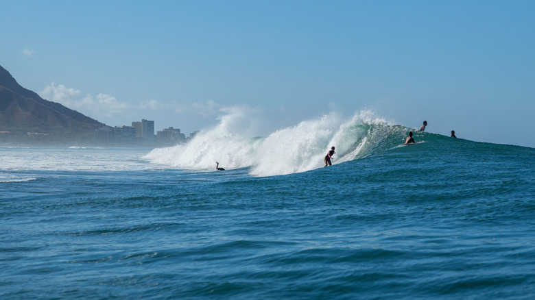 Surfers in the water at Ala Moana Beach Park