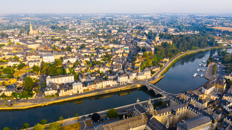 aerial view of town by river