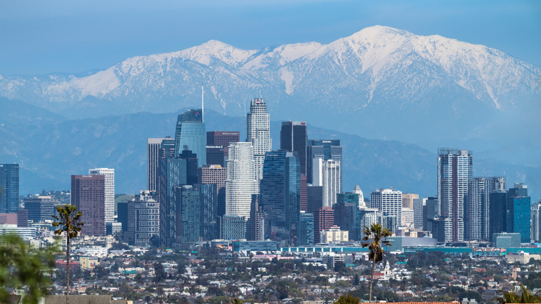 city skyline in front of snowy mountains