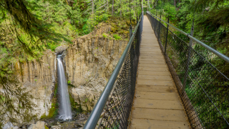 view of waterfall from bridge in Siuslaw National Forest