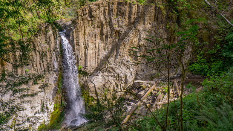 distant view of waterfall and woods in Siuslaw National Forest