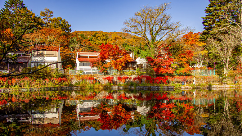 Autumn landscape around Kumoba Pond