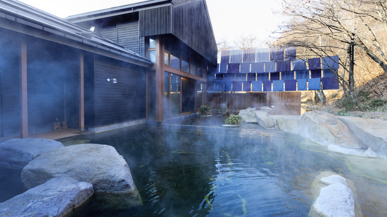 Natural hot springs serene onsen