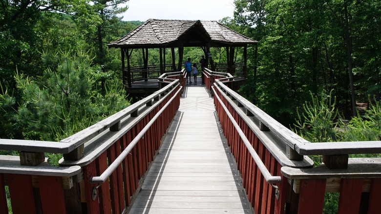 Dave Wenzel Treehouse, Scranton