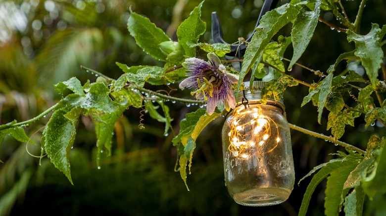 Jar with firefly string lights hanging on tree