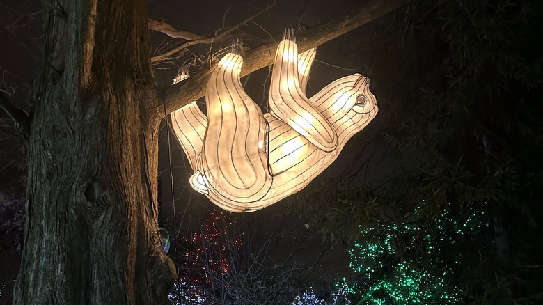 sloth lantern