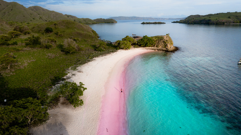 Padar Island pink beach, Indonesia