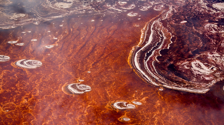 Aerial of red Lake Natron