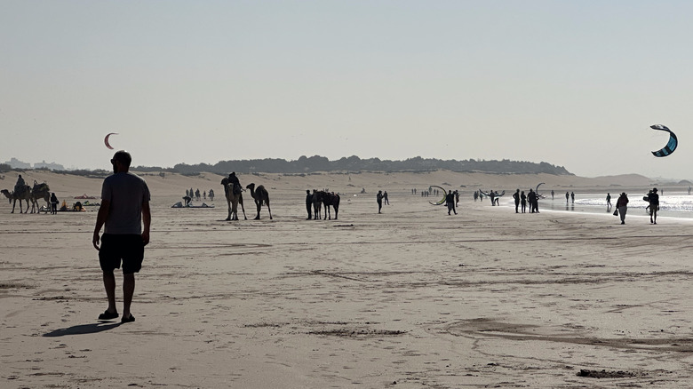 walled city of Essaouira