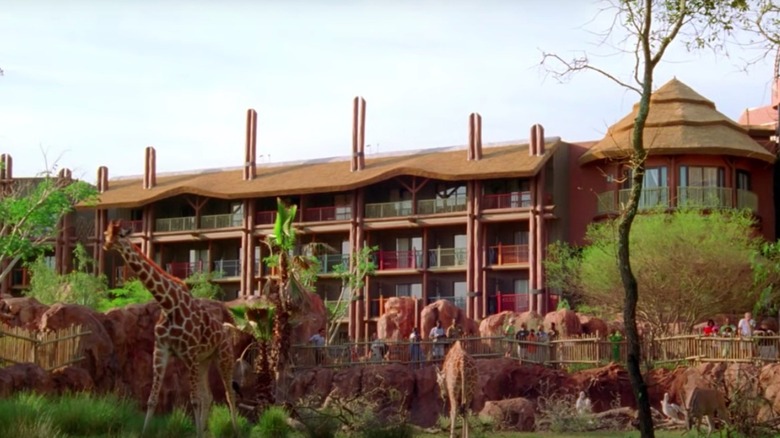 giraffes walking at the back of Animal Kingdom Lodge Resort