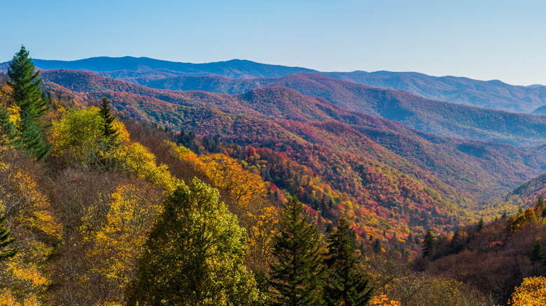 view of Great Smoky Mountains