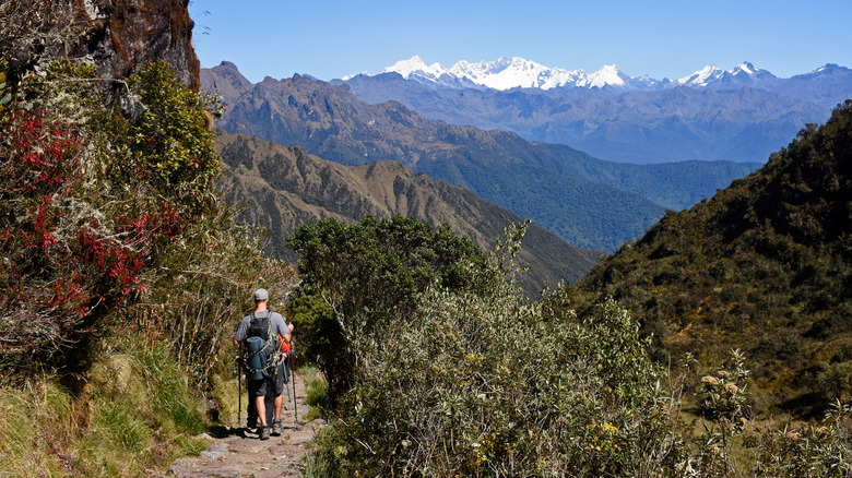 People trekking the Inca Trail