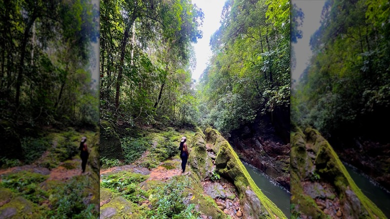 Woman in Crystal Mountains forest