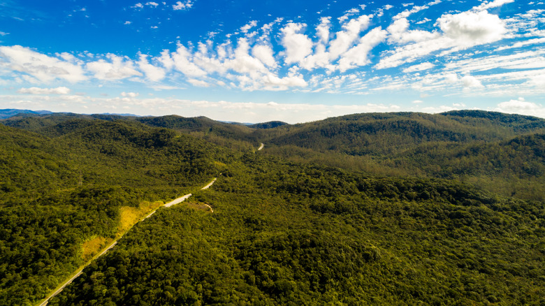 Aerial view of Gabon park