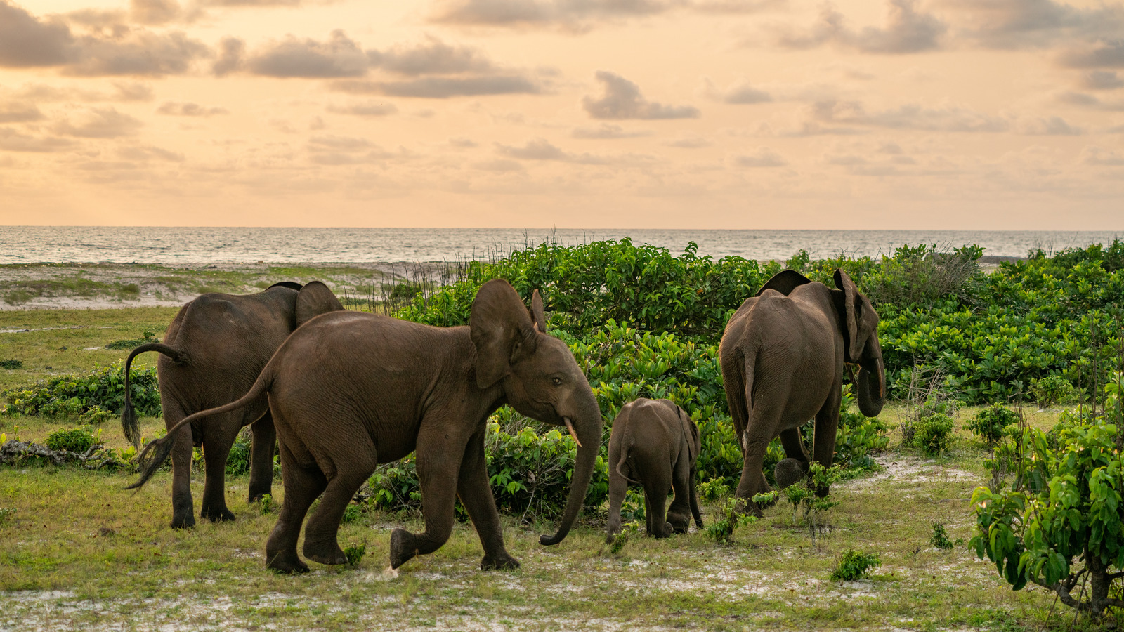 All The Breathtaking National Parks You Can't Skip On Your Trip To Gabon