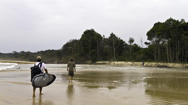 Surfers in Mayumba National Park