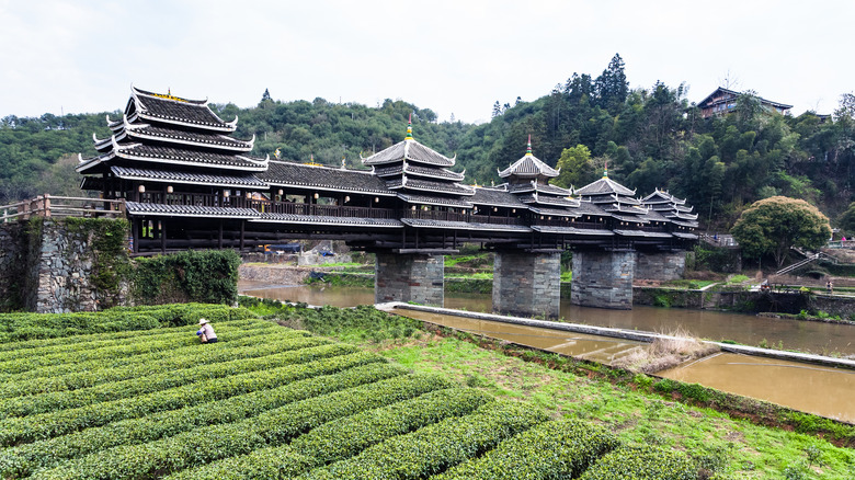 Chengyang Wind and Rain Bridge 