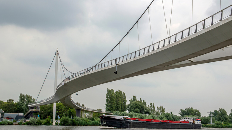 Y-shaped Nescio Bridge