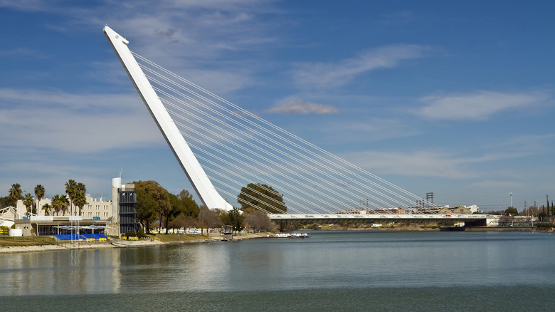 harp-like Puente del Alamillo 