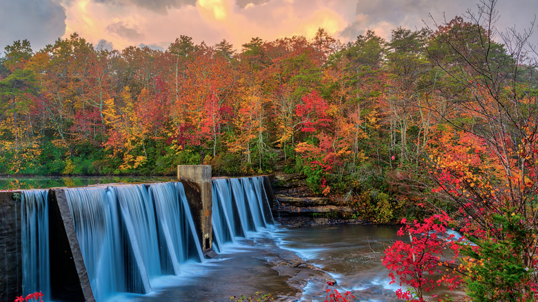 waterfall with colorful fall foliage