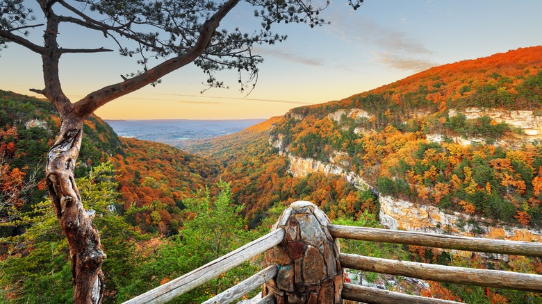 viewpoint overlooking colourful fall hills