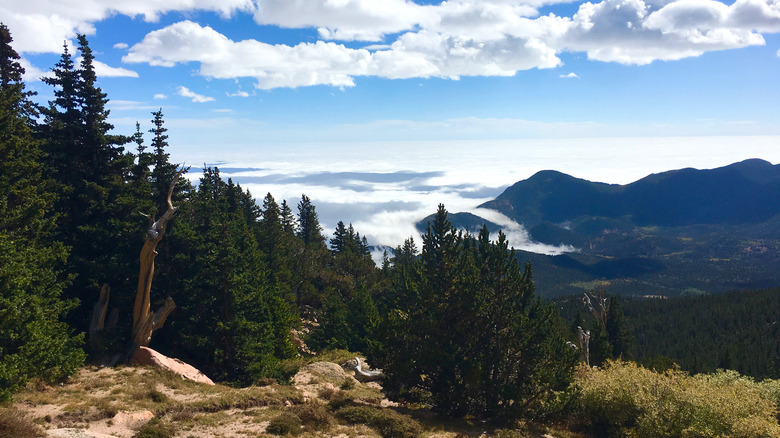 Looking down through forest from Pike's Peak