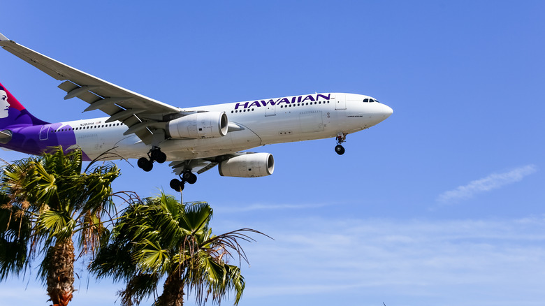 Hawaiian Airlines plane landing over palm trees