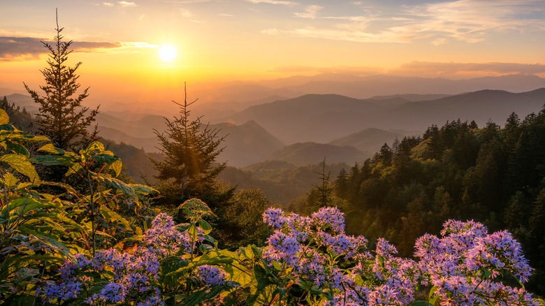 Landscape view of the Smoky Mountains horizon