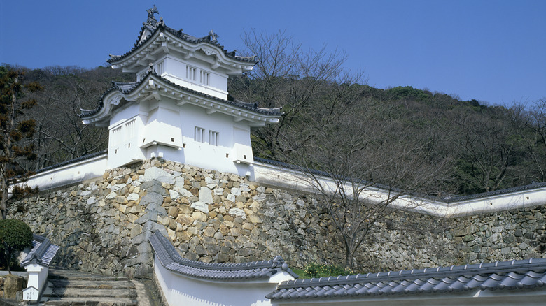 View of Tatsuno Castle