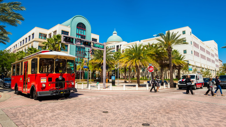 West Palm trees trolley Clematis Street