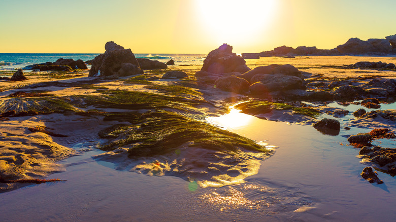 Sunset at Leo Carrillo SP