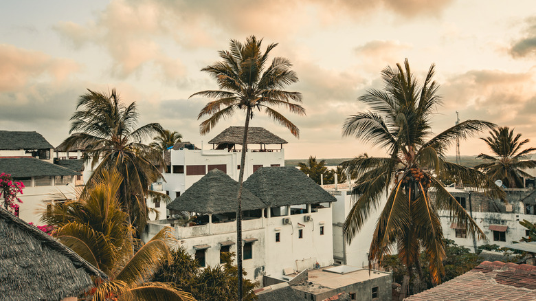 Houses on Lamu Island at sunrise