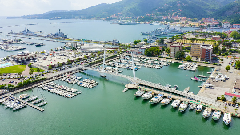 The Thaon de Revel Bridge crosses a harbor in La Spezia