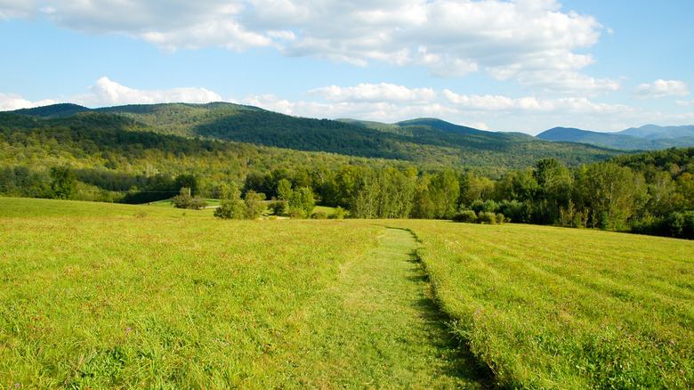 Hubbardton Battlefield in Vermont