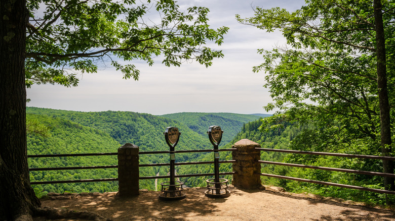 Observation area overlooking Pennsylvania's Pine Creek Gorge