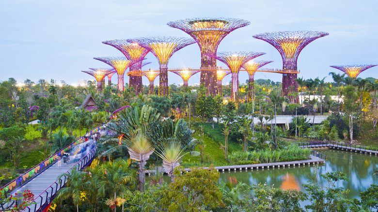 View of Singapore's Gardens by the Bay