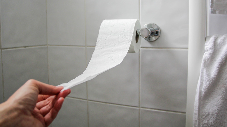 Hand reaching out for toilet paper in restroom